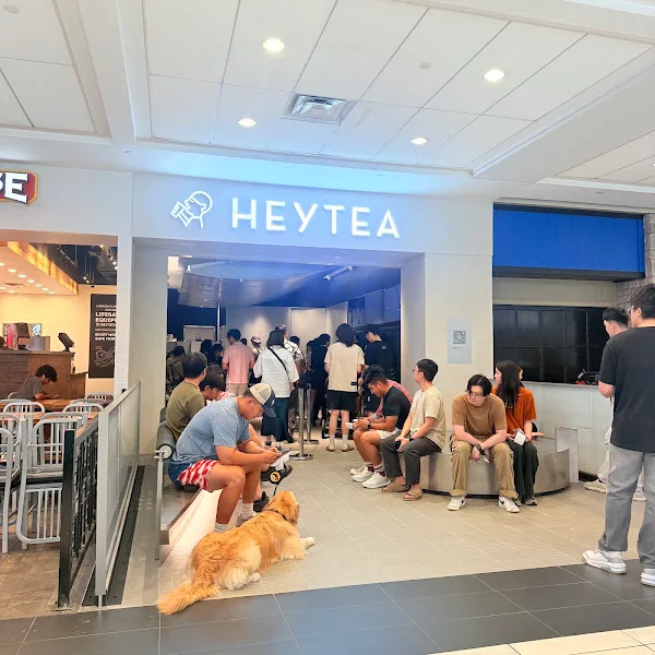 HEYTEA in Houston